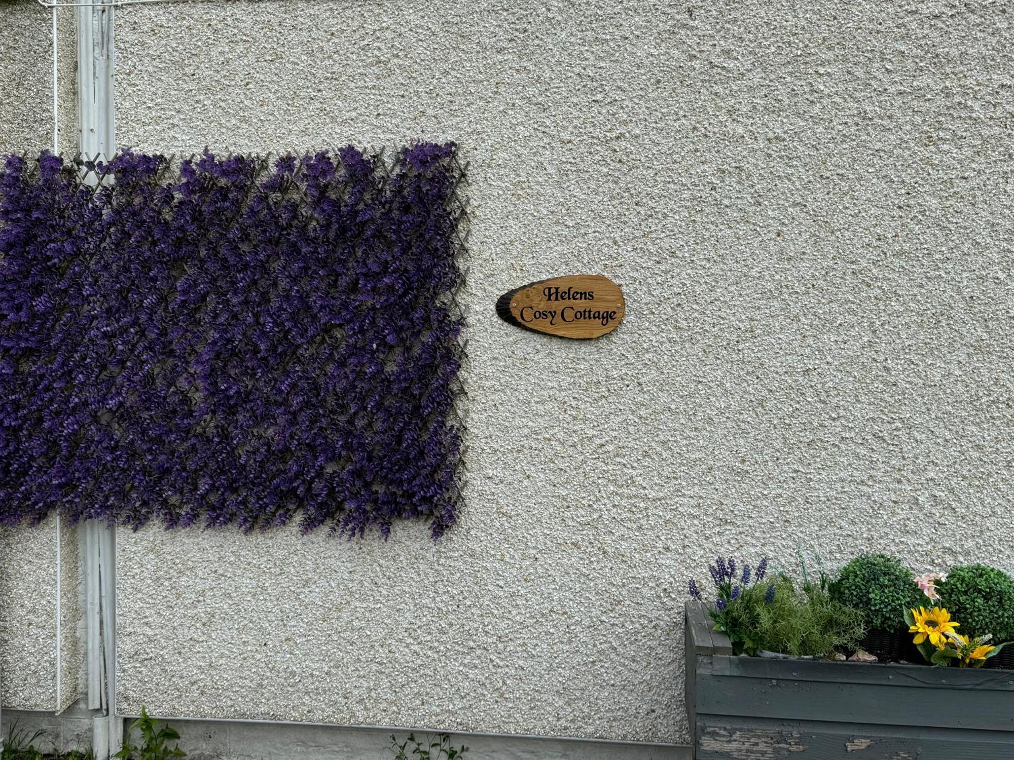 Helens Lybster Cosy Cottage On Nc500 Exterior photo